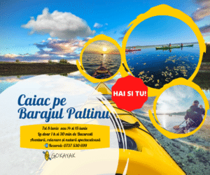 Tură de caiac pe Barajul Paltinu